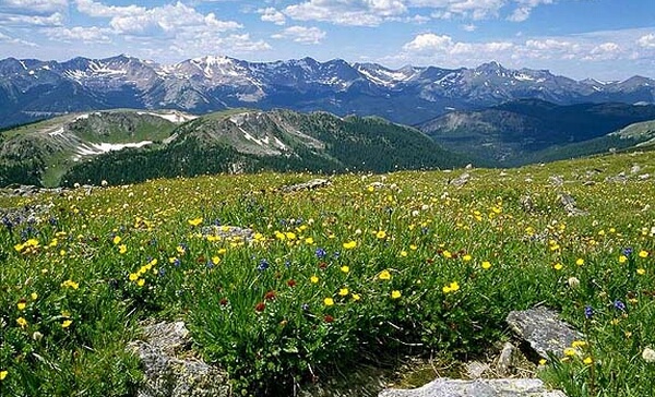 discovering colorado grand mesa national forest Grand Mesa 600x364